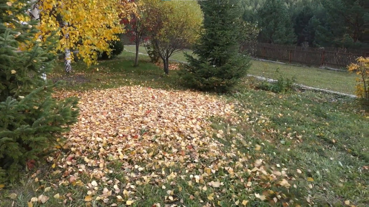 https://obninsk.mslandshaft.ru/storage/app/uploads/public/642/ac5/f22/642ac5f2293e2935715739.jpg